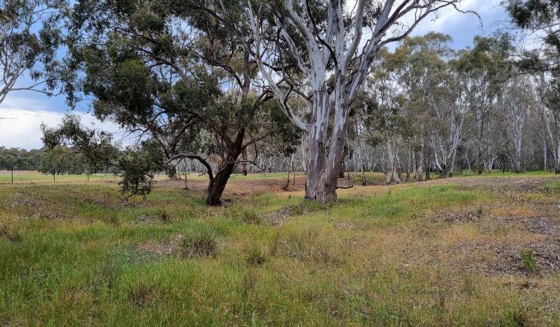 Airstrip, 40 acres, 4 bedroom house full