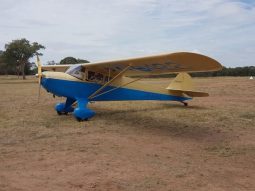 Taylor Craft full