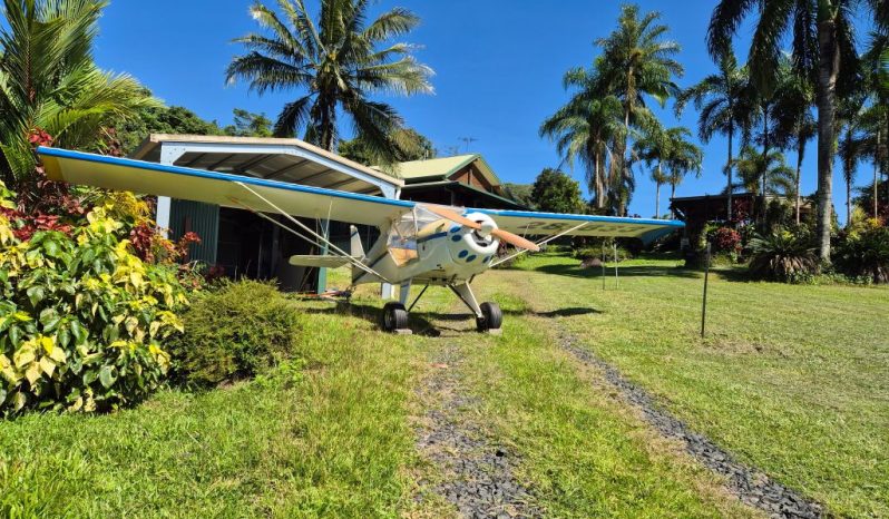 Kitfox 3 full