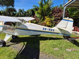 Kitfox 3 full